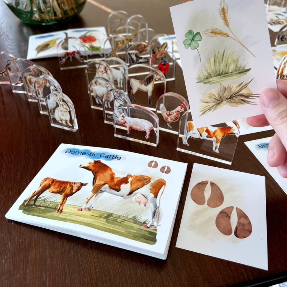 MEGA juego de tarjetas educativas para niños - 117 tarjetas de animales + 39 figuritas con dibujo